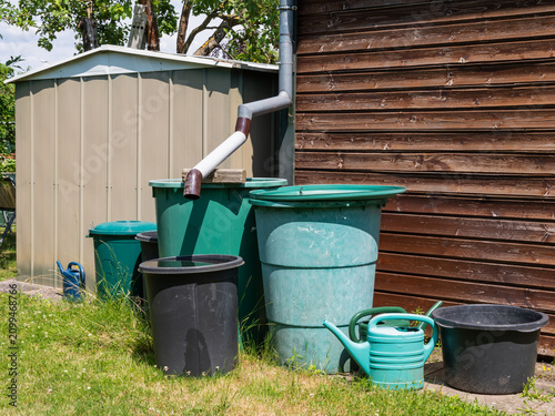 Rainwater collection system features several green and black plastic butts connected to a zinc downspout pipe in a garden