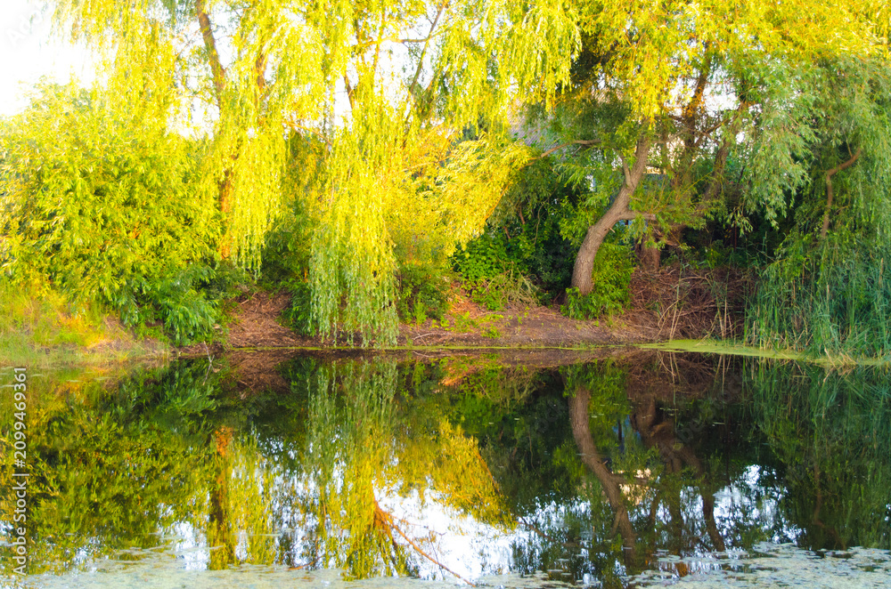Fotobehang Geel autumn trees reflected in water #2099469361