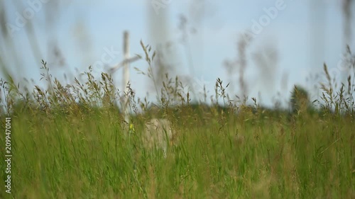 Low angle view through tall summer grass of a white Christian cross and an old headstone in a dilapidated cemetery. The grass moves in a light wind.
