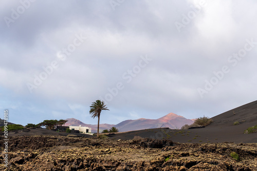 Lanzarote island in green in an unususaly rainy winter  province of Las Palmas Canary islands Spain