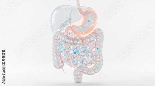 Stairway of Immunity — Microbiome, Virome and Human Defense Systems