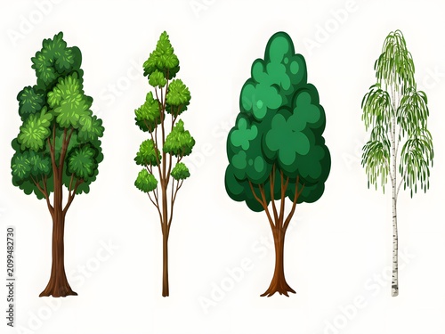 Four different tree types illustration, green trees for landscape design and nature concepts