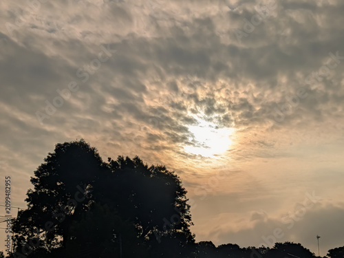Golden Sunlight Breaking Through Dramatic Clouds Above Dark Tree Silhouettes at Sunset