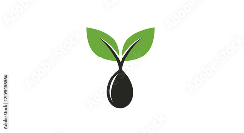 Minimalist green sprout growing from a black seed.