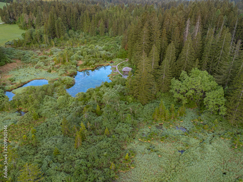 Quadro su tela An aerial drone photograph providing a wide landscape view of the Zelenci Nature