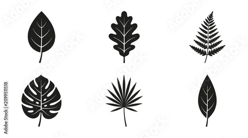 Collection of six different black leaf silhouettes on white background