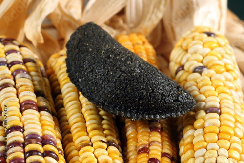 фотографія Cornmeal mush pastry served on ears of corn of various colors.