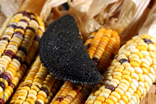 Fotografie Cornmeal mush pastry served on ears of corn of various colors.