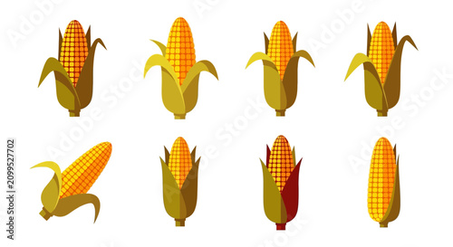 Quadro su tela Set of Flat Vector Corn Cobs Illustrations