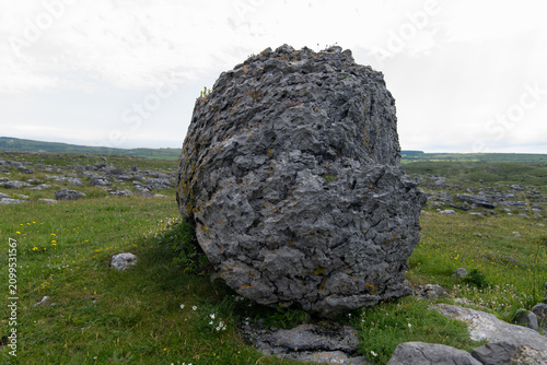A limestone erratic boulder, a massive rock deposited by glaciers. It is located in the Burren landscape of County Clare, Ireland.