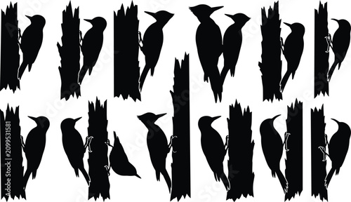 Foto Collection of black woodpecker silhouettes perched on tree trunks in various pos