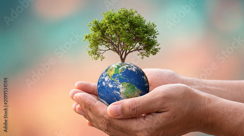 A conceptual image of human hands cupping the planet Earth with a lush green tree growing from it, symbolizing environmental protection, sustainability, and care.