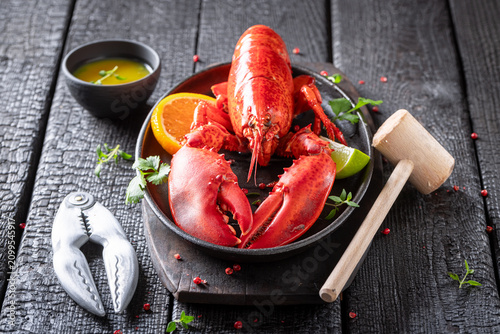 Obraz na plátne Teasty and fresh lobster as a low-calorie meal.