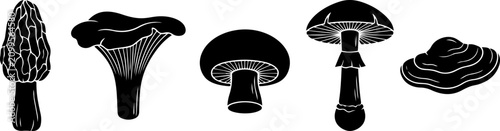 Set of black and white vector mushroom silhouettes featuring various edible fungi species for creative design