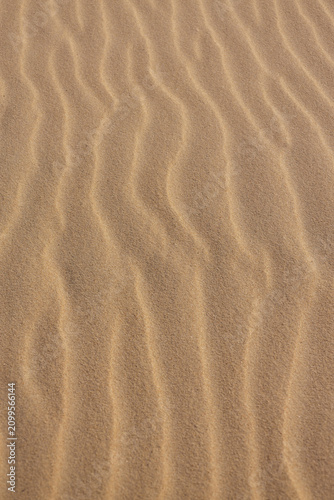 Vertical macro photography of rippled desert sand dunes, abstract golden beige background,