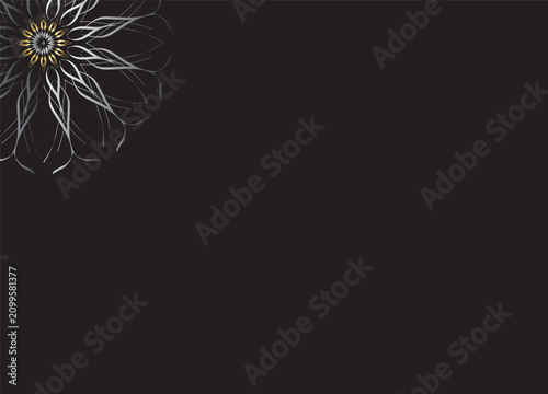 Monochrome Abstract Flower Petals with Black Background