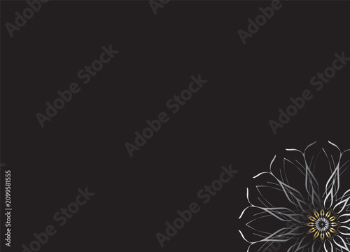 Monochrome Abstract Flower Petals with Black Background