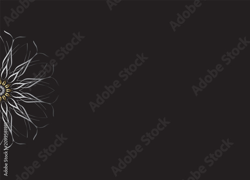 Monochrome Abstract Flower Petals with Black Background