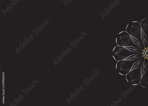 Monochrome Abstract Flower Petals with Black Background