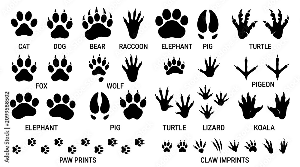 Obraz premium Animal Footprints, Paw Prints, Claw Marks, Wildlife Icons isolated on White Background