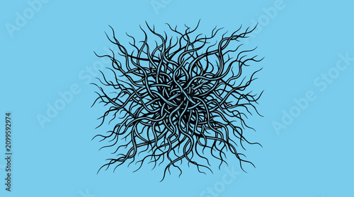 Vászonkép Roots forming a chaotic central cluster appear as a black ink drawing against a solid light blue background