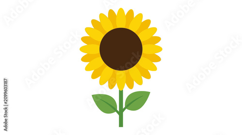 Foto Sunflower displays its bright yellow ray florets and dark center in this simple, stylized graphic representation