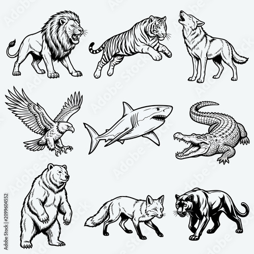 Photography Collection of black and white illustrations featuring various wild animals including a lion, tiger, wolf, eagle, shark, alligator, bear, fox, and big cat