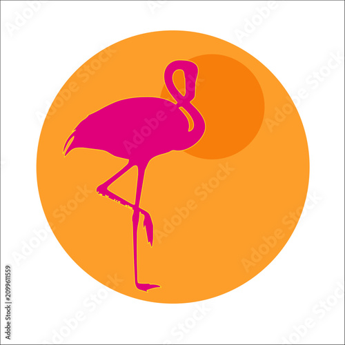 Cuadro en lienzo AVES BIRDS PÁJAROS NATURALEZA CIELOS BELLOS GALLO GALLINA PALOMA FLAMENCO