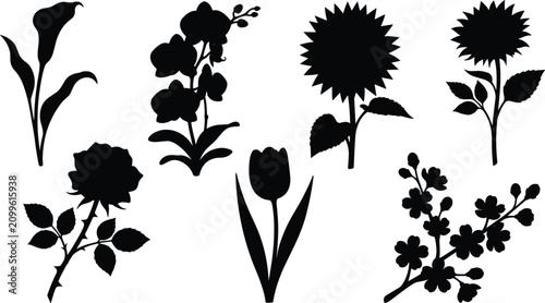 Bild auf Leinwand Beautiful garden flowers black silhouette icons collection featuring rose sunflo