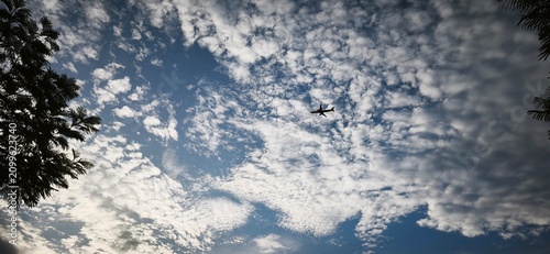 Bild auf Leinwand A horizontal low-angle shot of a silhouette of a commercial airplane flying through a blue sky filled with scattered white altocumulus clouds, framed by dark tree branches on the sides