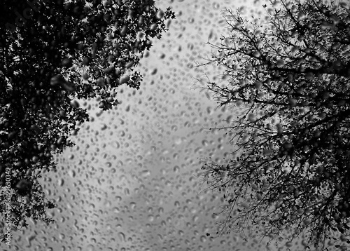 Принти на полотні Rain drops