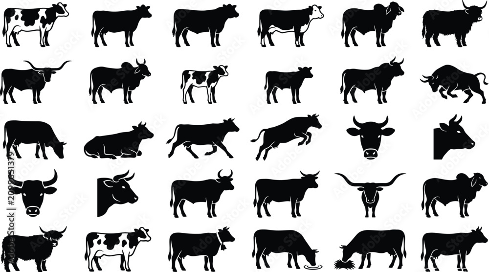 Obraz premium Assorted black cow and bull designs, showcasing farm animals in static and dynamic poses