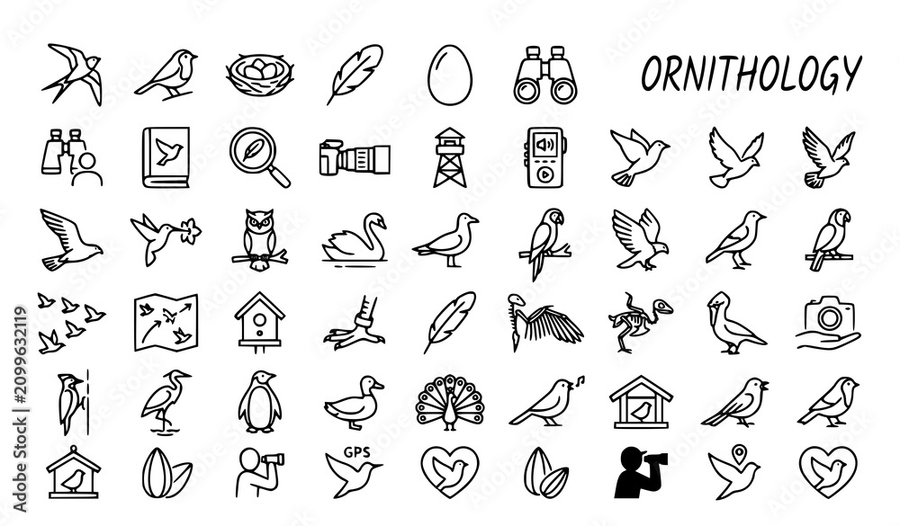 Fototapeta premium Bird ornithology outline icons vector wildlife pack
