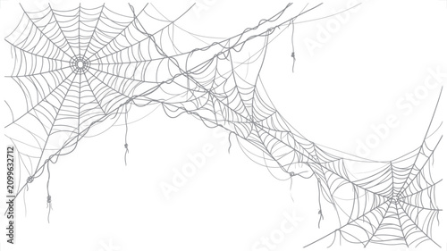 Fotografía Delicate spiderwebs with torn strands hanging in soft diffused light on a white