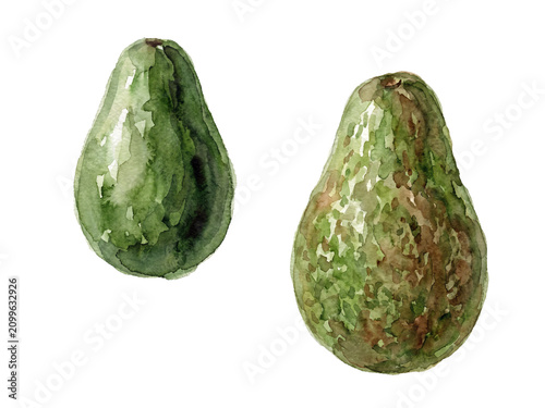 Avocado watercolor painting , isolated on transparent background, hand-painted vegetables