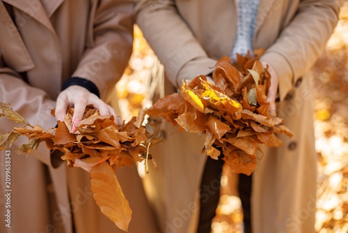 Cropped photo of two female friends holding yellow leaves