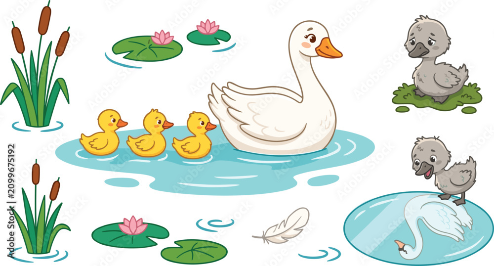 Obraz premium The ugly duckling fairytale vector illustration set featuring white swan mother, yellow ducklings, grey cygnet, reflection pond, cattails, and water lilies