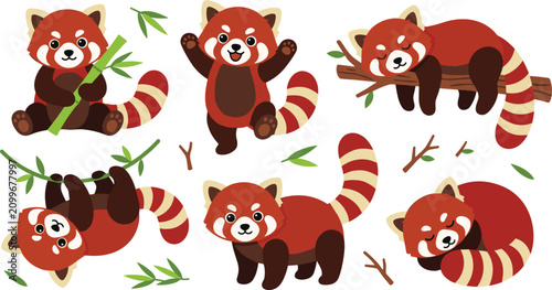 Cute red panda cartoon character set showing different poses including eating bamboo standing sleeping on branch hanging upside down and curled vector