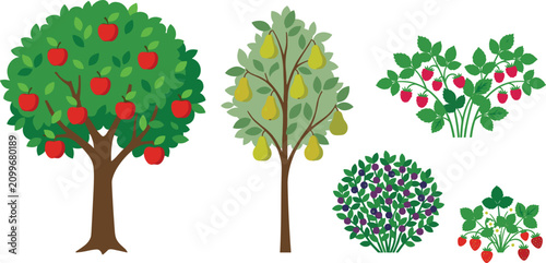 Obraz na płótnie Fruit tree and berry bush set featuring red apple tree yellow pear tree raspberr