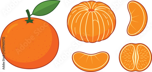 Quadro su tela Mandarin orange vector set featuring whole citrus fruit with leaf peeled tangeri