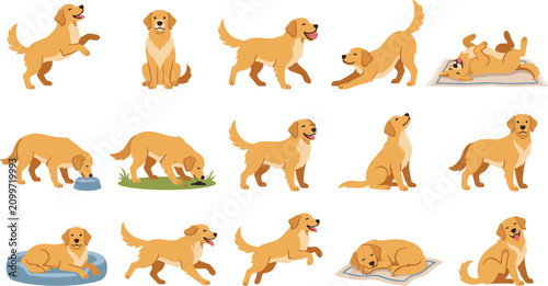 Billede på lærred Golden Retriever Dog Character Poses Set for Veterinary Pet Care and Animal Beha