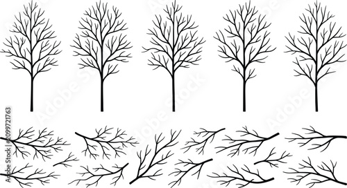 Tableau sur toile Set of black hand drawn bare tree silhouettes and individual leafless winter bra
