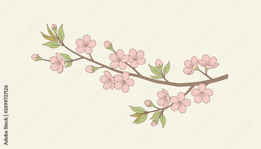 Fototapeta premium Beautiful cherry blossom branch illustration features delicate pink flowers and soft green leaves on a warm cream background.