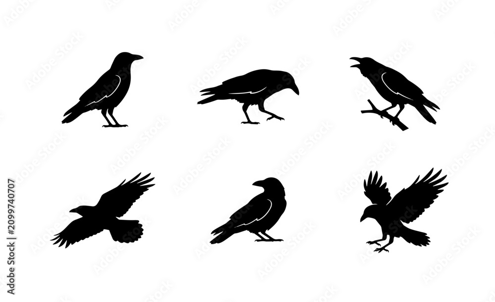 Fototapeta premium 70 Black Crow Silhouettes, Vector Set: Perched, Flying, and Standing Birds, Gothic and Mysterious Avian Icons for Design 100