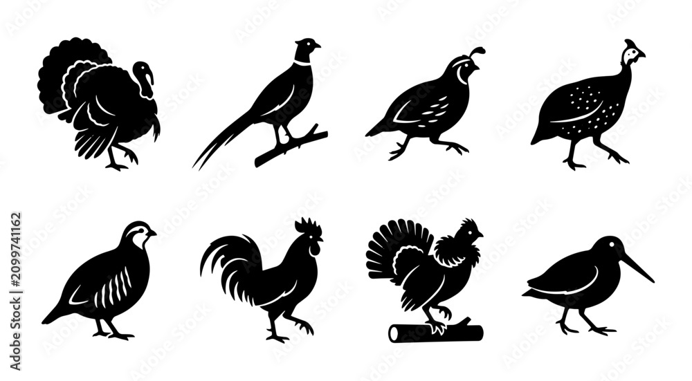 Fototapeta premium 70 Set of 8 Silhouette Game Birds Vector Icons: Turkey, Pheasant, Quail, Grouse, Rooster, Partridge, Woodcock, Guinea Fowl for Hunting and Ornithology Graphics 100