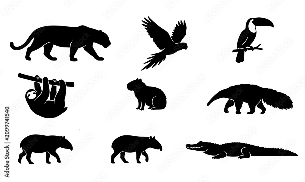 Fototapeta premium 70 Amazon Rainforest Wildlife Silhouettes Collection, Diverse Jungle Animals Vector Pack, Tropical Fauna Icons Set, Black and White Nature Graphics 100