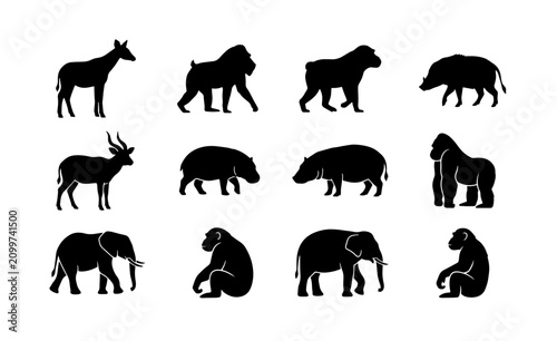 Photography 70 African Wildlife Silhouette Collection, 12 Diverse Animal Icons, Safari Fauna