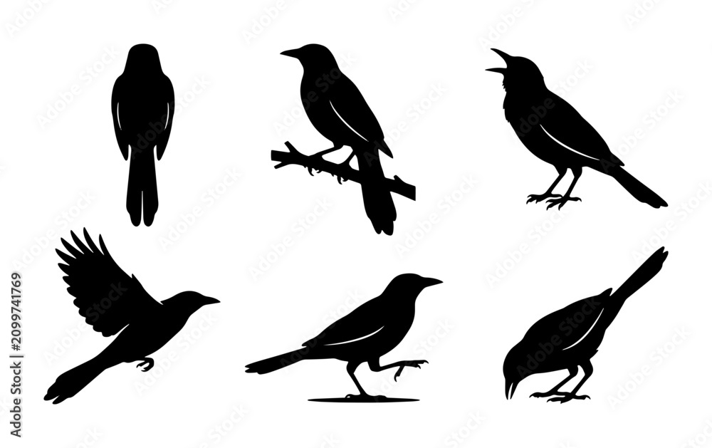 Fototapeta premium 70 Black Bird Silhouettes Collection, Avian Vector Icons, Various Poses and Actions, Wildlife Ornithology Graphics 100