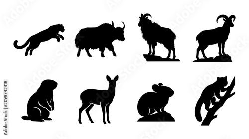 Photography 70 Wild Animal Silhouettes Collection: Diverse Wildlife Icons for Nature Graphic