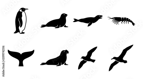 Bild auf Leinwand 70 Arctic Wildlife Vector Icons: Penguin, Seals, Shrimp, Seagulls, Whale Tail Si